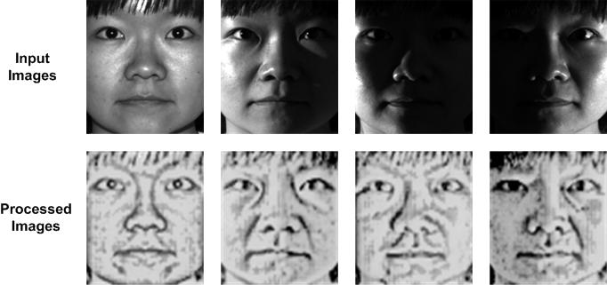 Fig. 1: Invariant Face Processing