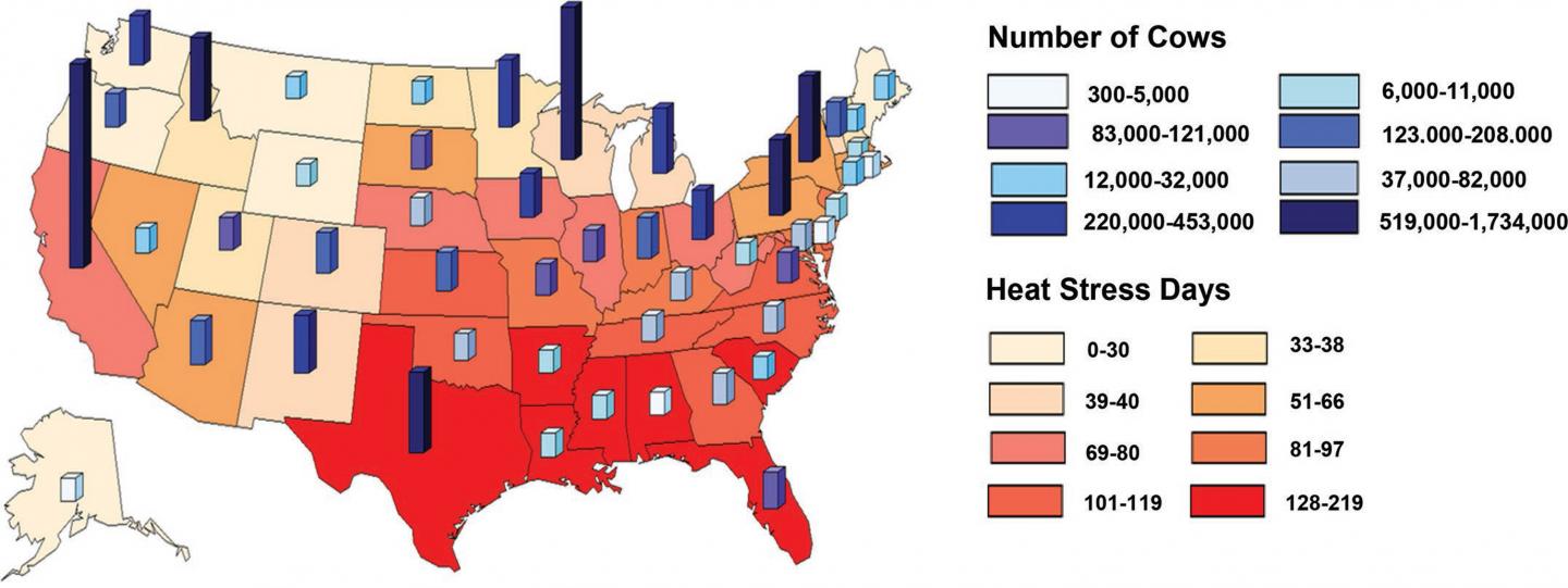 Heat Stress in Gestating Dairy Cows Impairs Performance of Future Generations