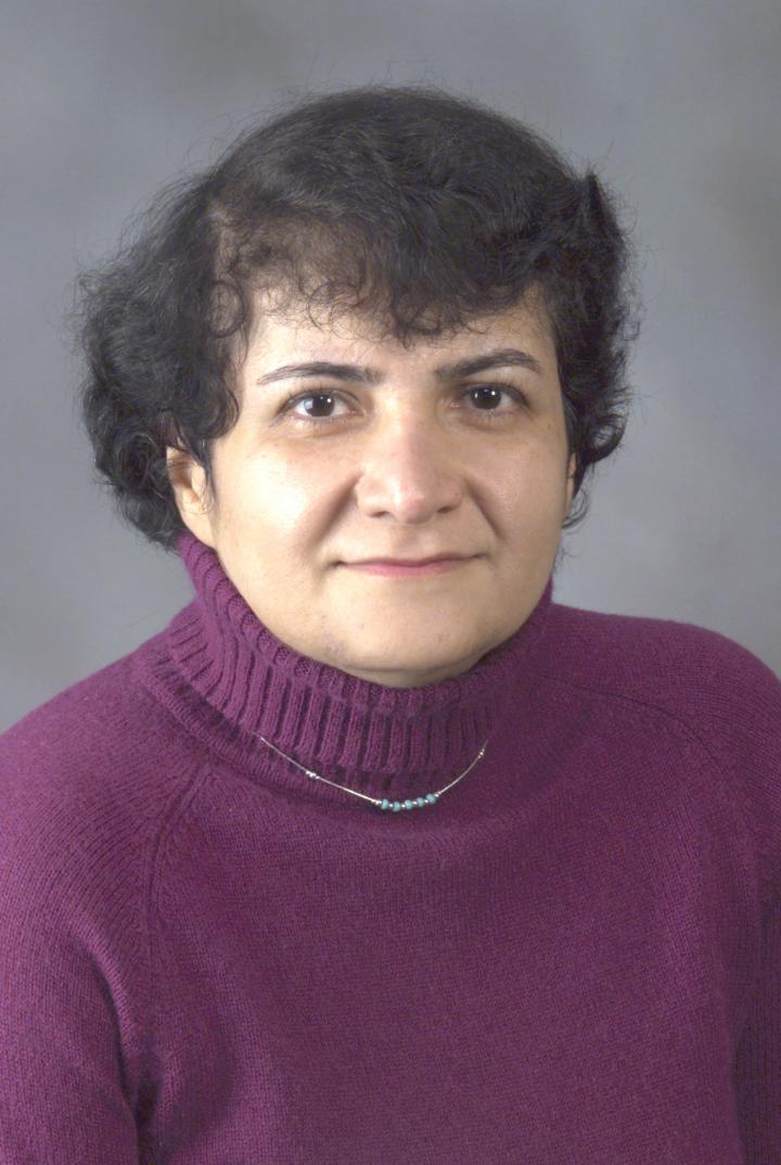 Giti Khodaparast, Virginia Tech