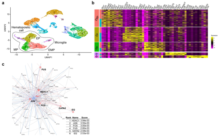 Figure 2 Single-cell RNA-seq analysis of yolk sacs.