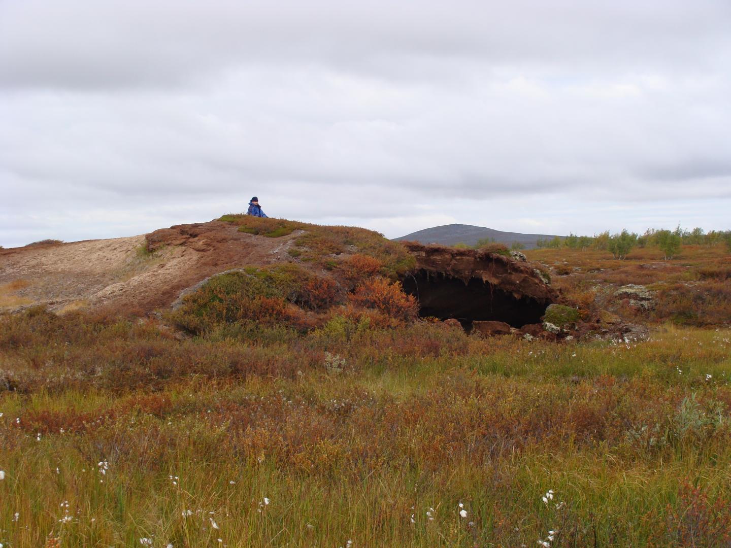 Degrading Permafrost Peat Mound