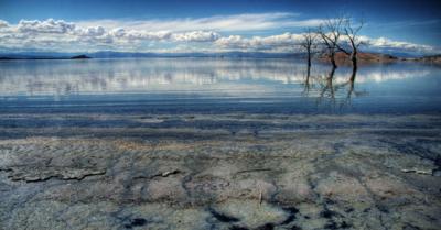 Salton Sea