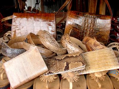 Market in Brazzaville, Congo