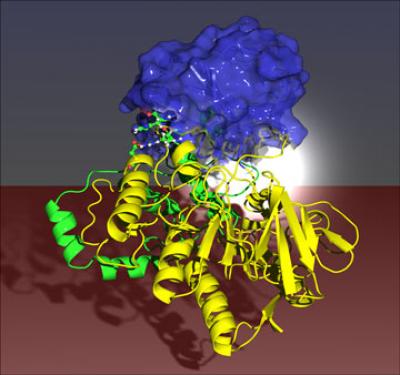 Modified Monoxygenase