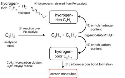 Mechanism of Carbon Nanotube Growth