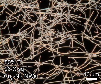 Dark-Field Optical Microscopy of Copper Nickel Nanowires