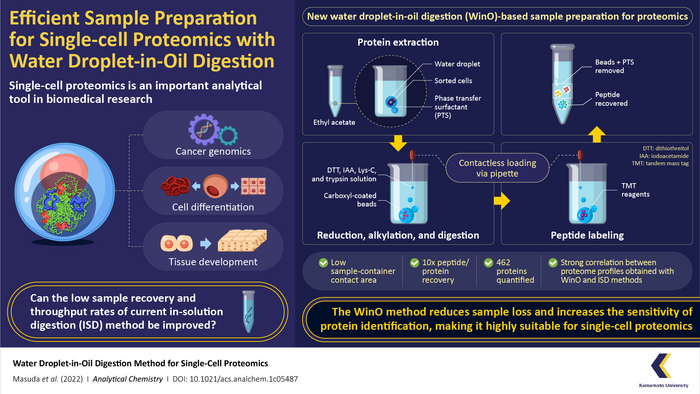 Efficient Sample Preparation for Single-cell Proteomics with Water Droplet-in-Oil Digestion