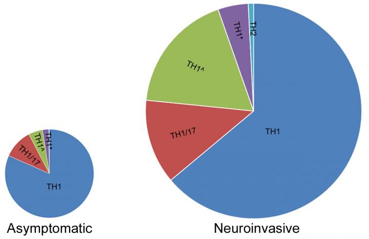 Immune Response Differences Might Determine Severity of West Nile Virus Disease