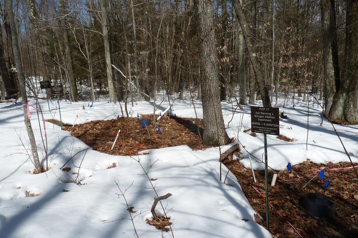 UNH test site at Harvard Forest Long-Term Ecological Research