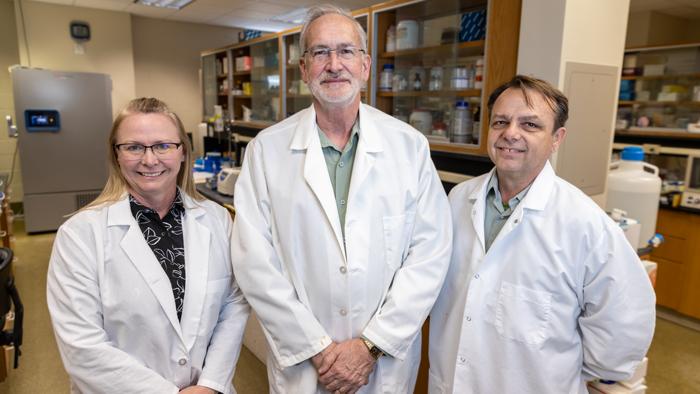 Randall Prather (middle), Kevin Wells (right) and Kristin Whitworth (left) all serve as scientists in the National Swine Resource and Research Center, where they work to move the needle on biomedical and agricultural innovation.