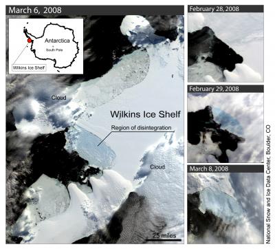 Wilkins Ice Shelf