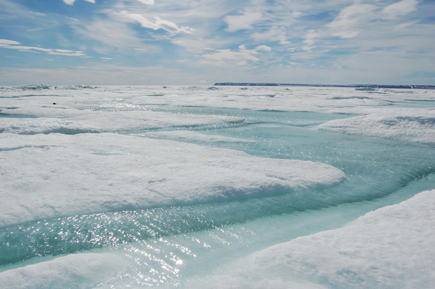 Coastal Sea Ice