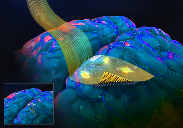 Artistic illustration of a new brain-computer interface with a flexible backing