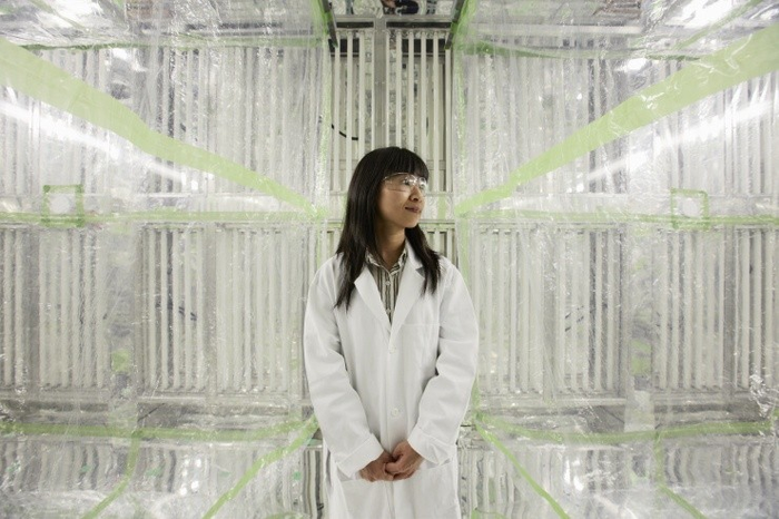 Professor Nga Lee “Sally” Ng