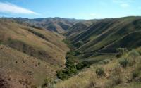 View of the Idaho Dry Creek
