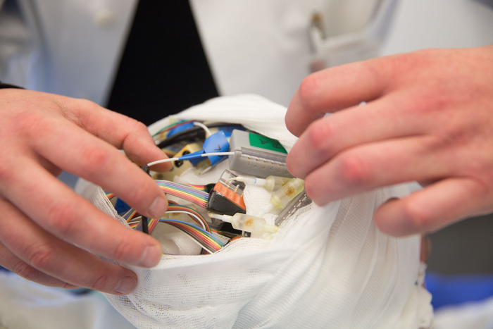 For the study, tiny electrodes were implanted in the brains