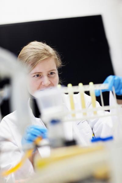 Urine Samples Being Prepared for MALDI-TOF MS Analysis