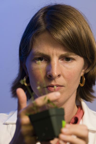 Erin Dolan, Virginia Tech