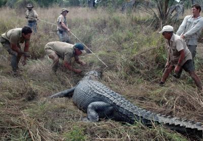 Irwin and Australia Zoo Team
