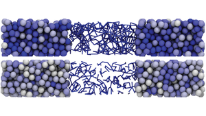 The Processes Behind Shear Thickening