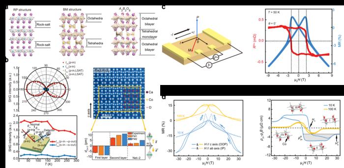 High Magnetic Field facilitates Novel Intrinsic Ferromagnetic Polar Metals