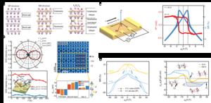 High Magnetic Field facilitates Novel Intrinsic Ferromagnetic Polar Metals