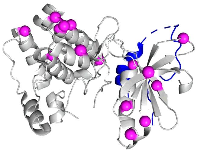 Ancient Proteins Interacting