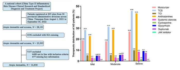 Flowchart of selection process for eligible AD patients and therapeutic distribution based on severity