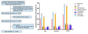 Flowchart of selection process for eligible AD patients and therapeutic distribution based on severity