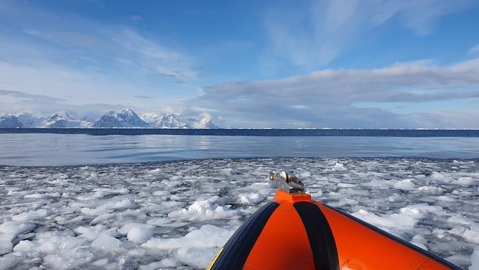 The coastal Southern Ocean in Ryder Bay, west Antarctic Peninsula.