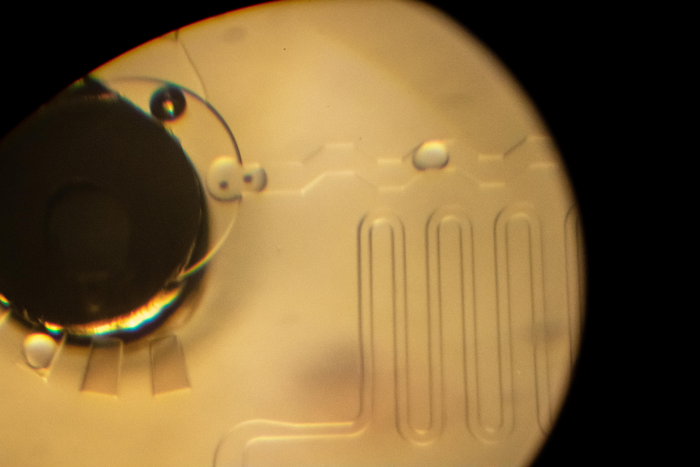 Single-cell analysis