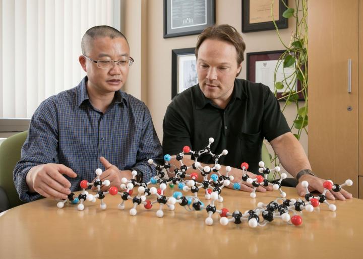 Hui Ding and Patrick Harran, University of California - Los Angeles