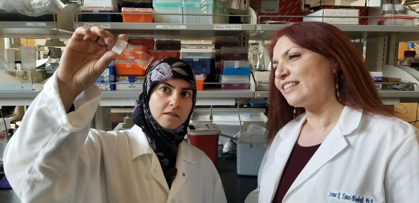 Hawra Karim and Seema Tiwari-Woodruff, University of California - Riverside 