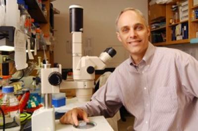 Dr. David Mangelsdorf