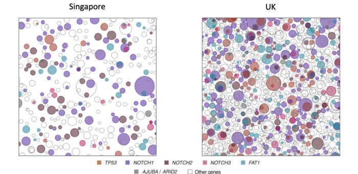 Mutations in the UK and Singapore skin