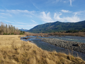 Nooksack River scene