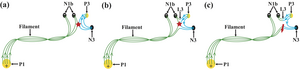 Schematic diagrams of the reconfiguration and eruption of a filament by magnetic reconnection with the emerging magnetic field