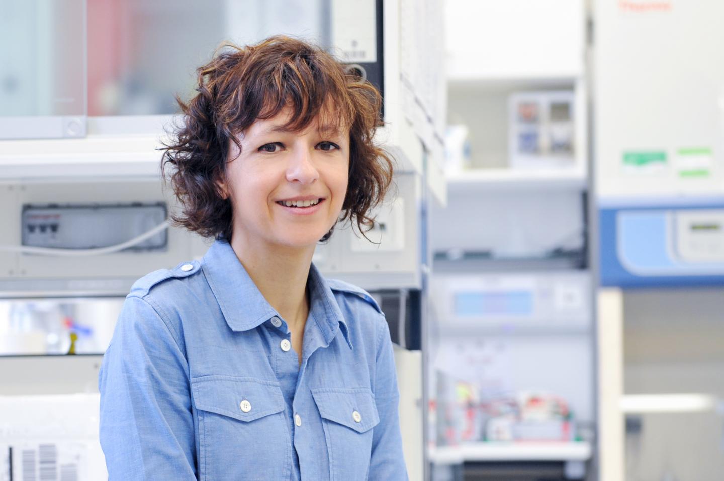 Emmanuelle Charpentier, Helmholtz Centre for Infection Research