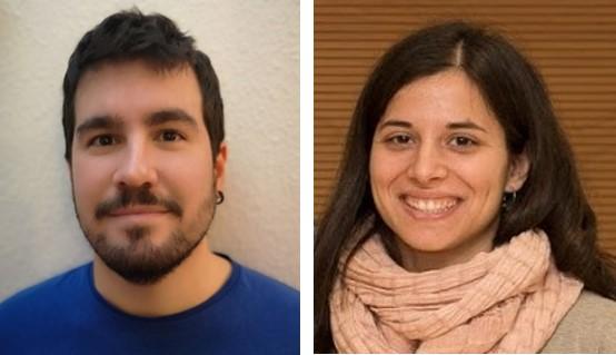 Huntington's neurodegeneration