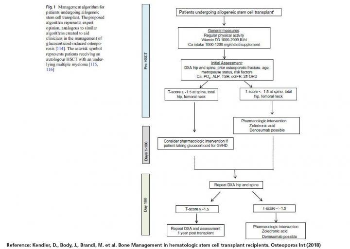Algorithm: Bone Management for Patients Undergoing Allogeneic Stem Cell Transplant