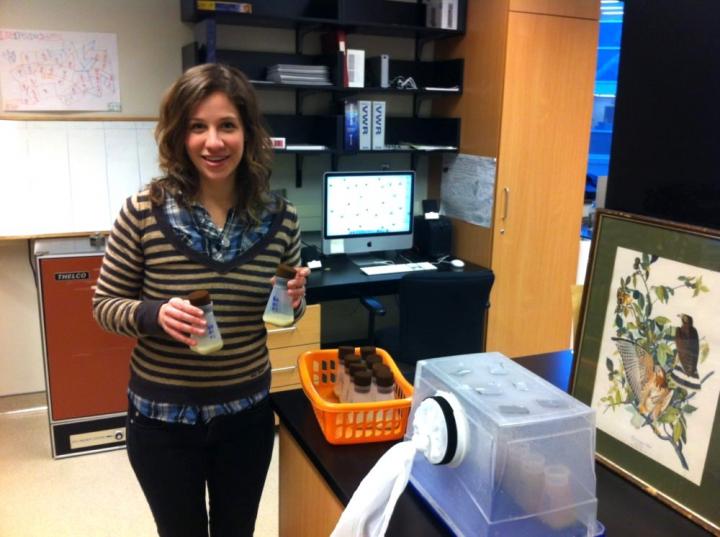 Fighting Fruit Flies: Aggressive Behaviour Influenced by Previous Interactions