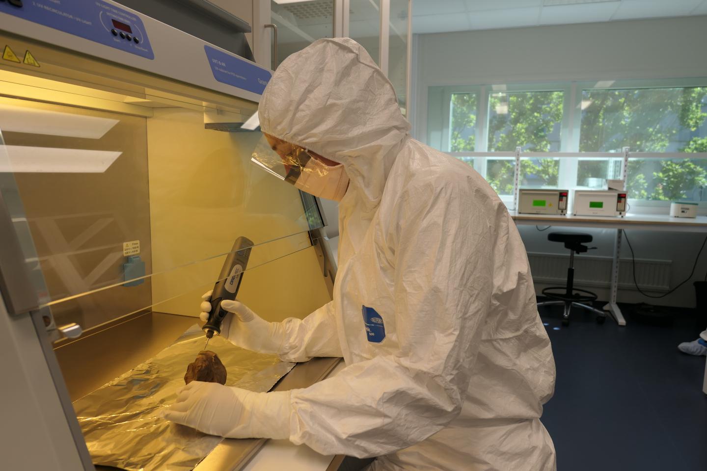 Edana Lord in a DNA Lab