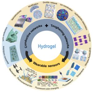 The schematic diagram of the enhancement of performance and the utilization of hydrogels.