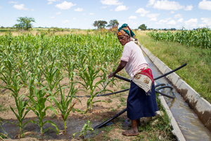 A farmer in southern Africa