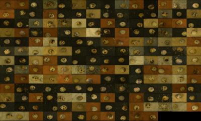 Tiled Camouflaged Quail Eggs