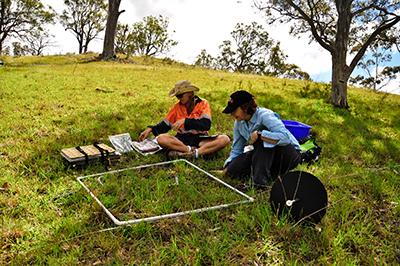 Testing Nutrient Levels