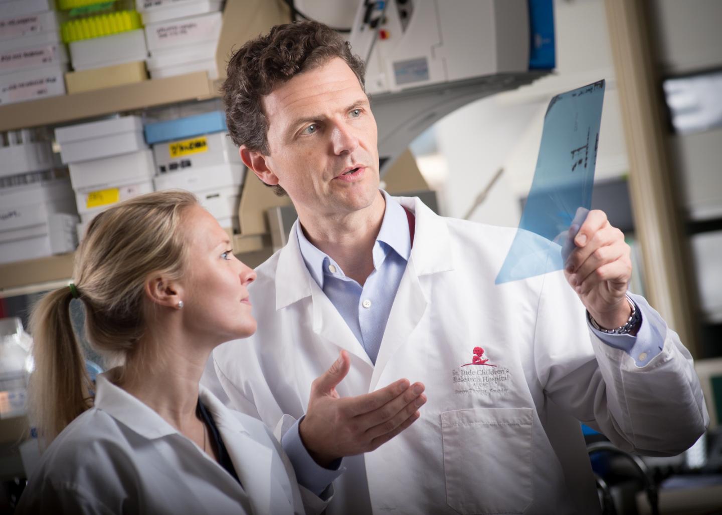 Research Offers Treatment Clues for a High-Risk Adult Leukemia