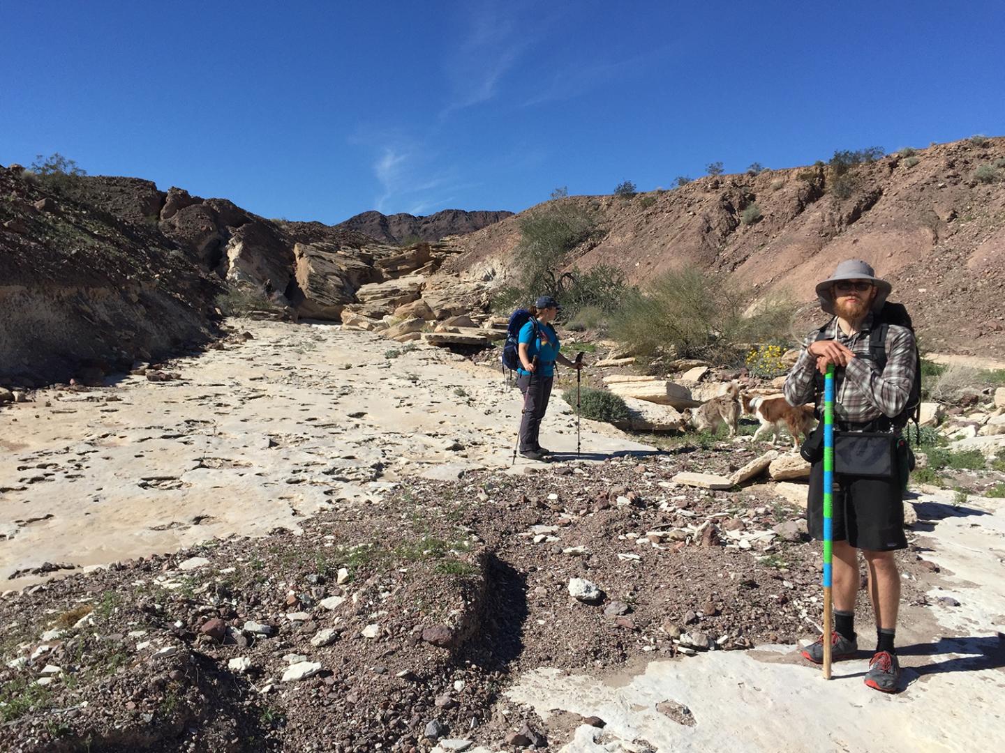 Bouse Formation riverbed