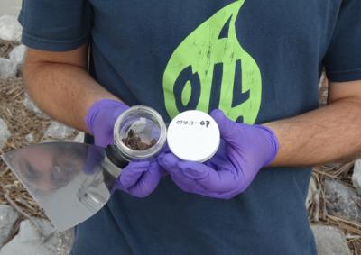 Collecting Oil Samples on the Beach