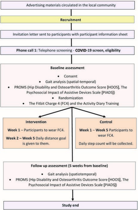 Outlines of the study ﬂow